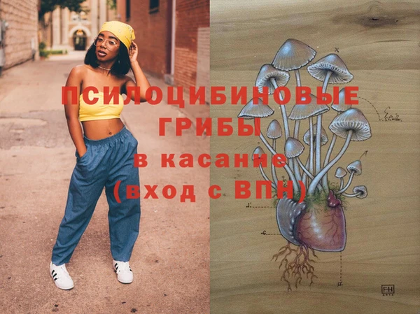 ПСИЛОЦИБИНОВЫЕ ГРИБЫ Арсеньев