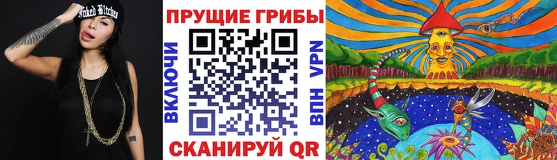 хочу Тарко-Сале Галлюциногенные грибы Magic Shrooms